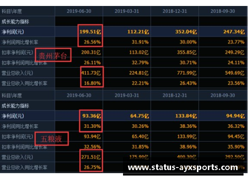 AYX爱游戏球员排名的细节解析：背后的评分系统与数据透视 - 副本